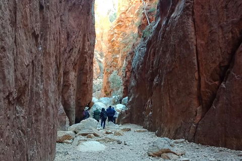West MacDonnell Private Tour With Transfer - Holiday Adelaide 0