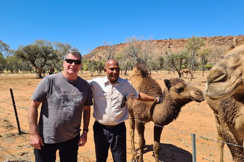 West MacDonnell Ranges Half-Day Small-Group Tour With Camel Ride - Holiday Adelaide 1