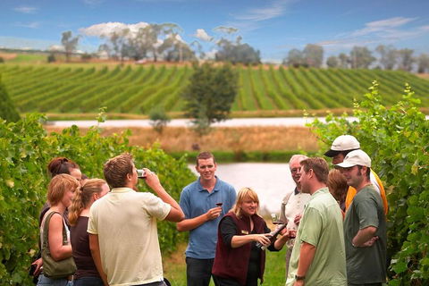 Yarra Valley Wine And Winery Tour From Melbourne - Holiday Adelaide 0