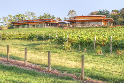 Yarra Valley Wine And Winery Tour From Melbourne - Holiday Adelaide 1