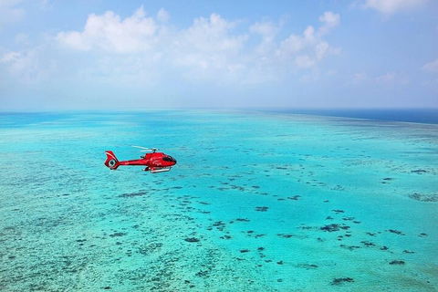 Great Barrier Reef 30-Minute Scenic Helicopter Tour From Cairns - Holiday Adelaide 2