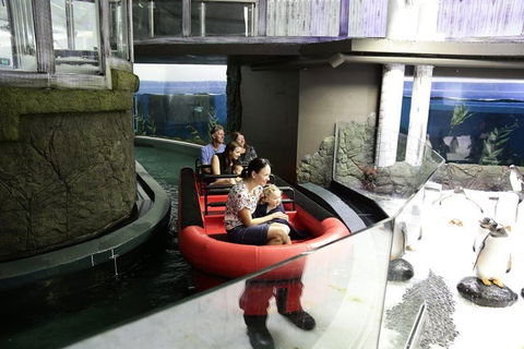 Sydney Attractions Pass: SEA LIFE Aquarium, Sydney Tower Eye, WILD LIFE Zoo And Madame Tussauds - Holiday Adelaide 0