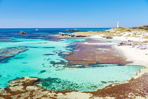 Perth To Rottnest Island Roundtrip Ferry Ticket - Holiday Adelaide 2