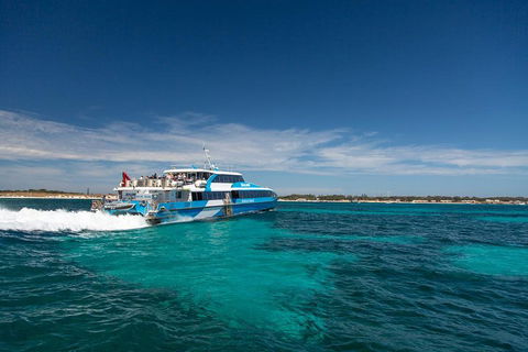 Perth To Rottnest Island Roundtrip Ferry Ticket - Holiday Adelaide 4