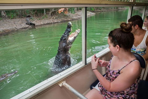Hartley's Crocodile Adventures Day Trip From Cairns - Holiday Adelaide 3