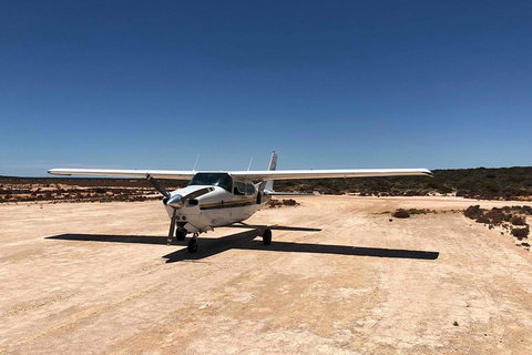Kalbarri Gorges & West Coast - Ground & Air Tour - Holiday Adelaide 4