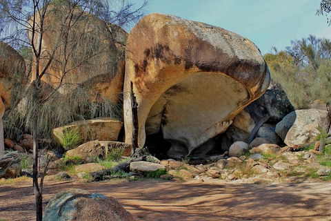 Wave Rock & Rottnest Island - Air & Ground Tour - Holiday Adelaide 4