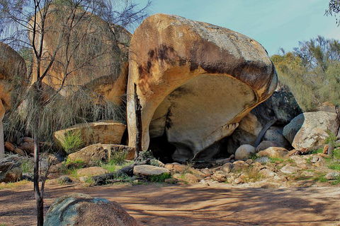 Wave Rock And Pinnacles Air & Ground Tour - Holiday Adelaide 3