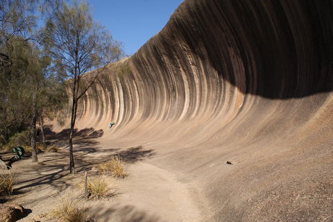 Wave Rock And Pinnacles Air & Ground Tour - Holiday Adelaide 5