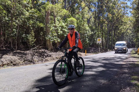 Mount Wellington Descent Cycling Tour Departs Hobart - Holiday Adelaide 3
