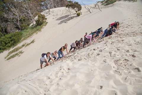 6-Day Tasmanian Explorer Adventure Tour From Hobart - Holiday Adelaide 2