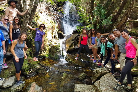 7-Day Super Value Tour Of Tasmania: Explore Tasmania's West And East Coasts - Holiday Adelaide 2