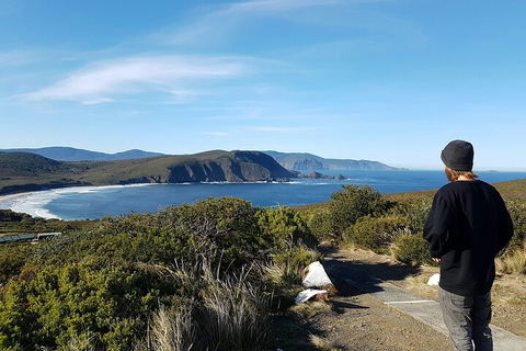 4-Day Fabulous Tasmania Tour: Wineglass Bay, Port Arthur, Devils & Bruny Island - Holiday Adelaide 0