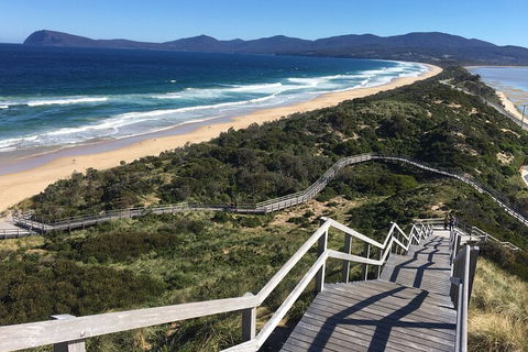 4-Day Fabulous Tasmania Tour: Wineglass Bay, Port Arthur, Devils & Bruny Island - Holiday Adelaide 5