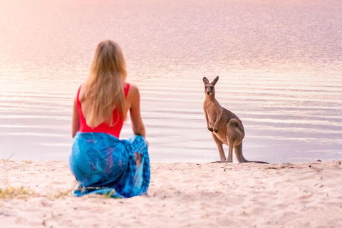 Serenity Cruise To Australia's Everglades - Holiday Adelaide 3