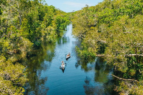 Cruise 'n' Canoe To Australia's Everglades - Holiday Adelaide 3