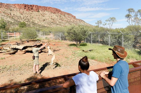 Alice Springs Desert Park General Entry Ticket - Holiday Adelaide 4