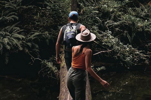 Small Group - 12 Apostles, Otways & Great Ocean Road Day Tour From Melbourne - Holiday Adelaide 5