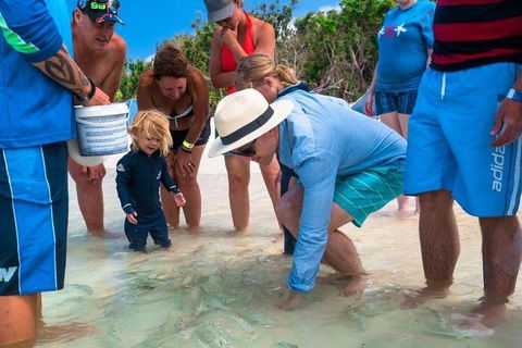 Whitehaven Beach And Hamilton Island Cruise - Holiday Adelaide 1