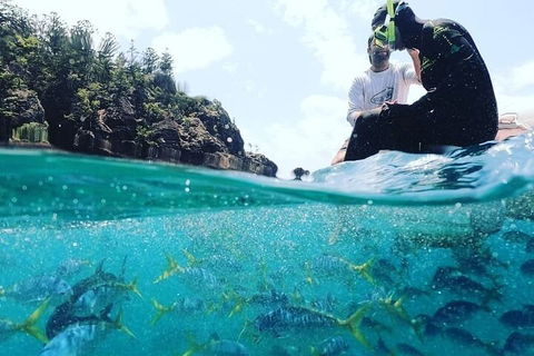 2 Night Small Group Whitsundays Sailing Adventure Aboard Mandrake - Holiday Adelaide 5