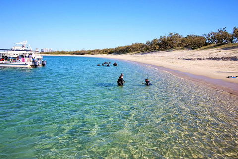 Wave Break Island Scuba Diving On The Gold Coast - Holiday Adelaide 4