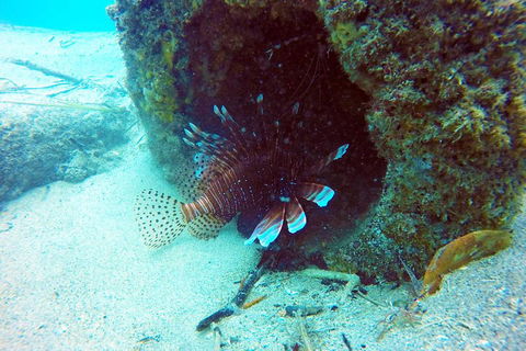 Wave Break Island Scuba Diving On The Gold Coast - Holiday Adelaide 5