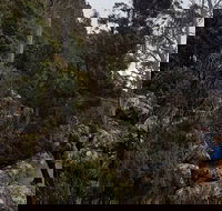 kunanyi / Mt. Wellington Guided Hiking Tour - Holiday Adelaide