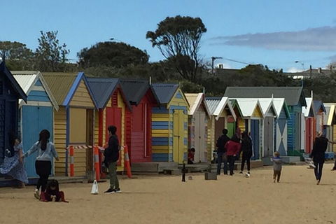 Private Half Day Melbourne City Tour With Local Guide - Holiday Adelaide 2