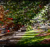 Fully Inclusive Blue Mountains Private Tour inc Scenic World  Featherdale entry - Holiday Adelaide