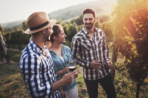 Full Day Mount Tamborine Winery Tour From Gold Coast - Holiday Adelaide 5