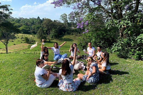 Full Day Mount Tamborine Winery Tour From Brisbane - Holiday Adelaide 4