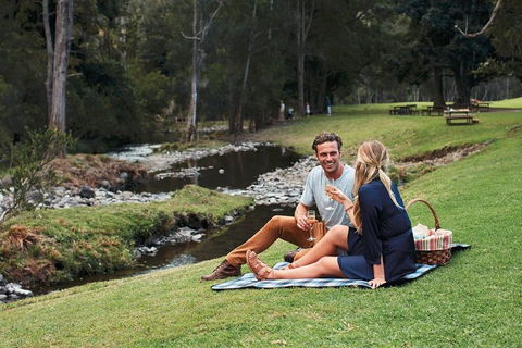 Mt Tamborine - Hinterland Wonders Self Guided - Holiday Adelaide 0