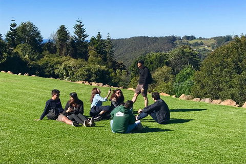 Mt Tamborine - Hinterland Wonders Self Guided - Holiday Adelaide 1