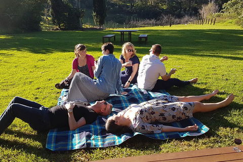 Mt Tamborine - Hinterland Wonders Self Guided - Holiday Adelaide 2
