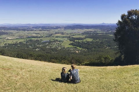 Mt Tamborine - Hinterland Wonders Self Guided - Holiday Adelaide 4