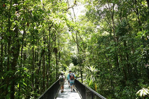 Daintree Dreaming Traditional Aboriginal Fishing From Cairns Or Port Douglas - Holiday Adelaide 3