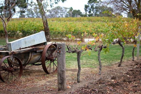 Maggie Beer Farm - Barossa Valley Regional Tour - Holiday Adelaide 1
