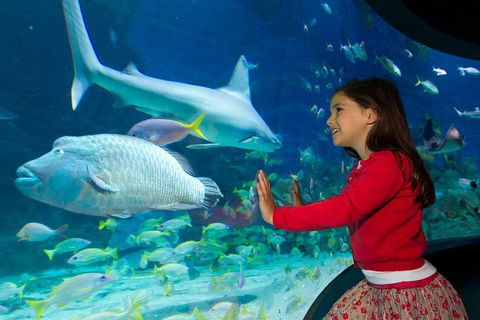 SEA LIFE Melbourne Aquarium Admission Ticket - Holiday Adelaide 1
