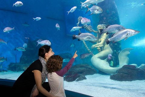 SEA LIFE Melbourne Aquarium Admission Ticket - Holiday Adelaide 4