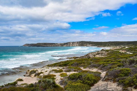 Kangaroo Island Luxury Small Group 'East End Explorer' Full Day Tour - Holiday Adelaide 0