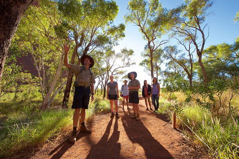 Uluru Small Group Tour Including Sunset - Holiday Adelaide 0