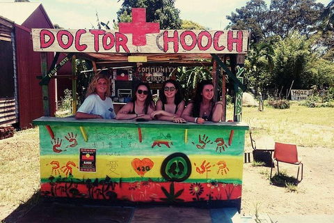Byron Surrounds: Nimbin Waterfall Adventure - Swimming Tour - Holiday Adelaide 5