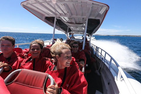 Adventure Rottnest Tour With Ferry & Adventure Cruise From Perth Or Fremantle - Holiday Adelaide 0