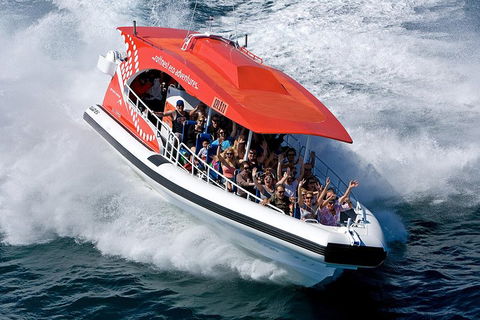 Adventure Rottnest Tour With Ferry & Adventure Cruise From Perth Or Fremantle - Holiday Adelaide 2