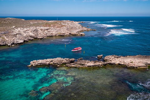Adventure Rottnest Tour With Ferry & Adventure Cruise From Perth Or Fremantle - Holiday Adelaide 3