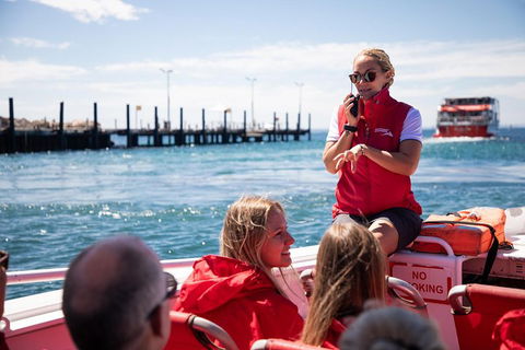 Adventure Rottnest Tour With Ferry & Adventure Cruise From Perth Or Fremantle - Holiday Adelaide 4