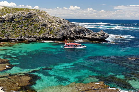 Adventure Rottnest Tour With Ferry & Adventure Cruise From Perth Or Fremantle - Holiday Adelaide 5