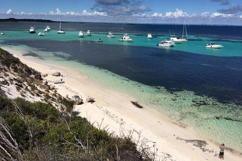 Experience Rottnest With Ferry & Bike Hire From Perth Or Fremantle - Holiday Adelaide 0