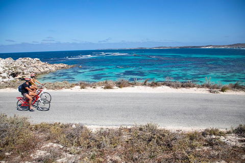 Experience Rottnest With Ferry & Bike Hire From Perth Or Fremantle - Holiday Adelaide 2