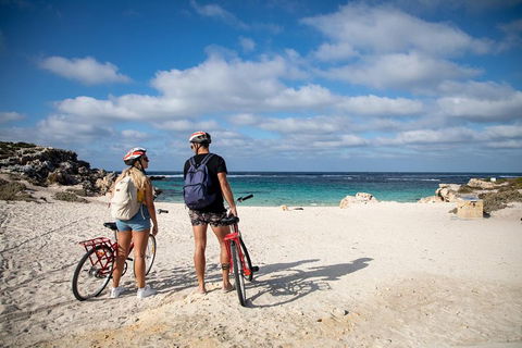 Experience Rottnest With Ferry & Bike Hire From Perth Or Fremantle - Holiday Adelaide 5